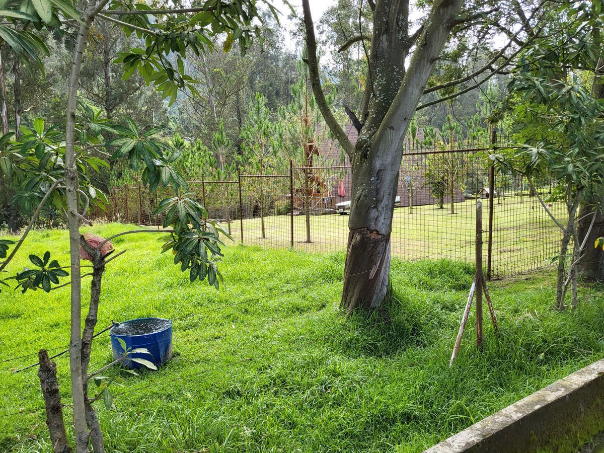 Terreno de Venta Sector Pinllocoto Sangolquí — imagen 7