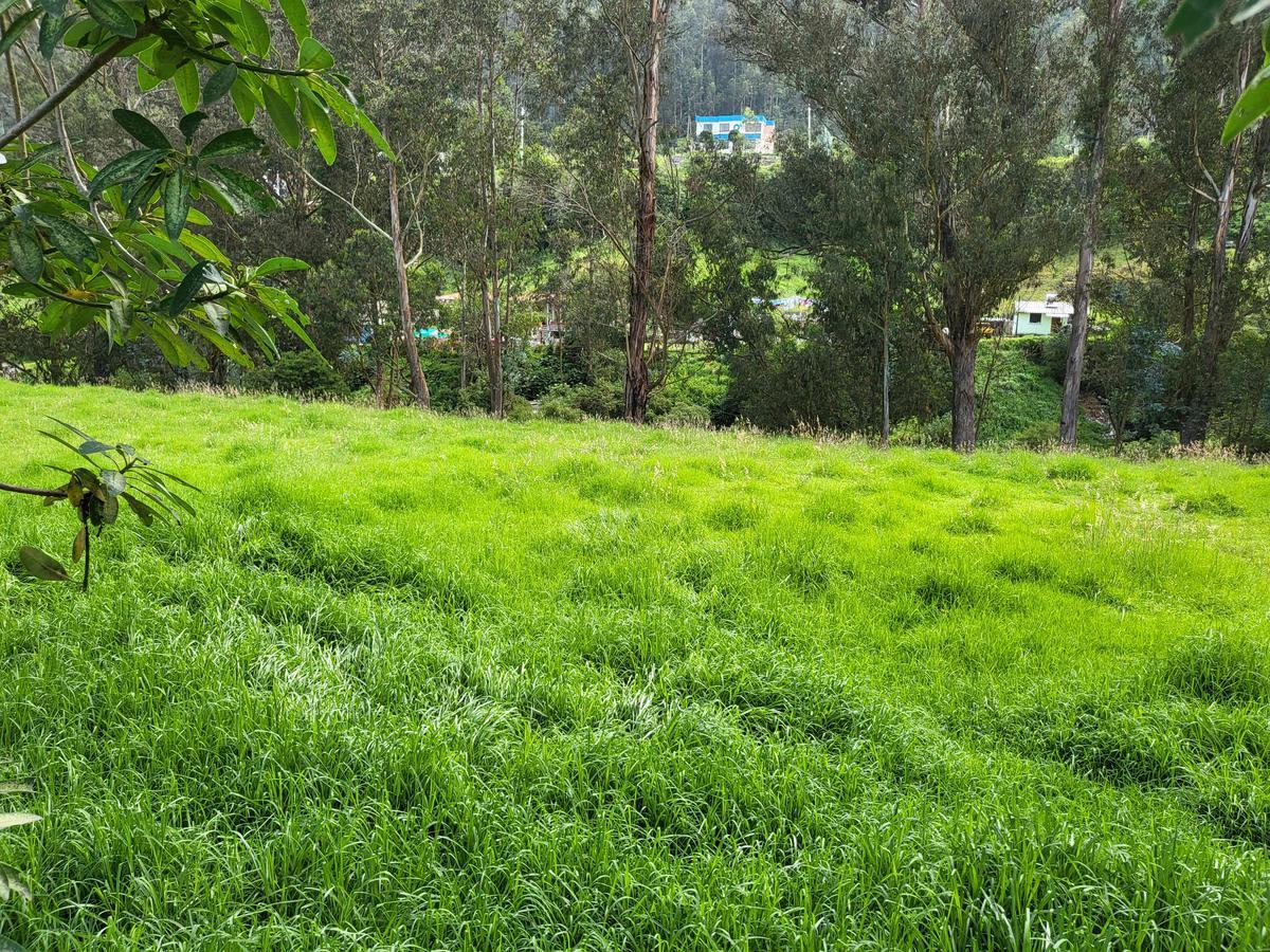 Terreno de Venta Sector Pinllocoto Sangolquí — imagen 6