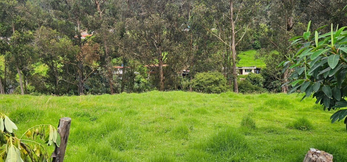 Terreno de Venta Sector Pinllocoto Sangolquí — imagen 3