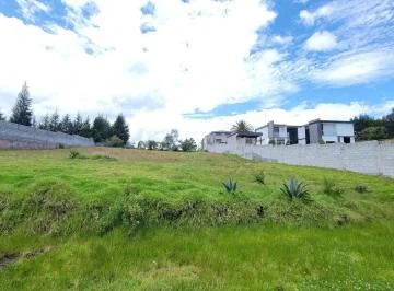 Terreno en Venta 2040 m² Sector La Merced Alangasi — imagen 3