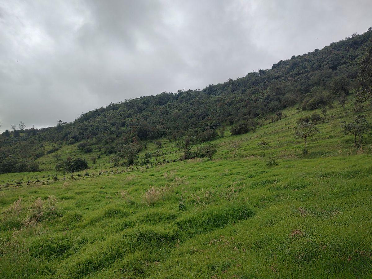 Invierte en Paz y Naturaleza! Terrenos Dentro de Santuario Natural. en Venta! — imagen 6