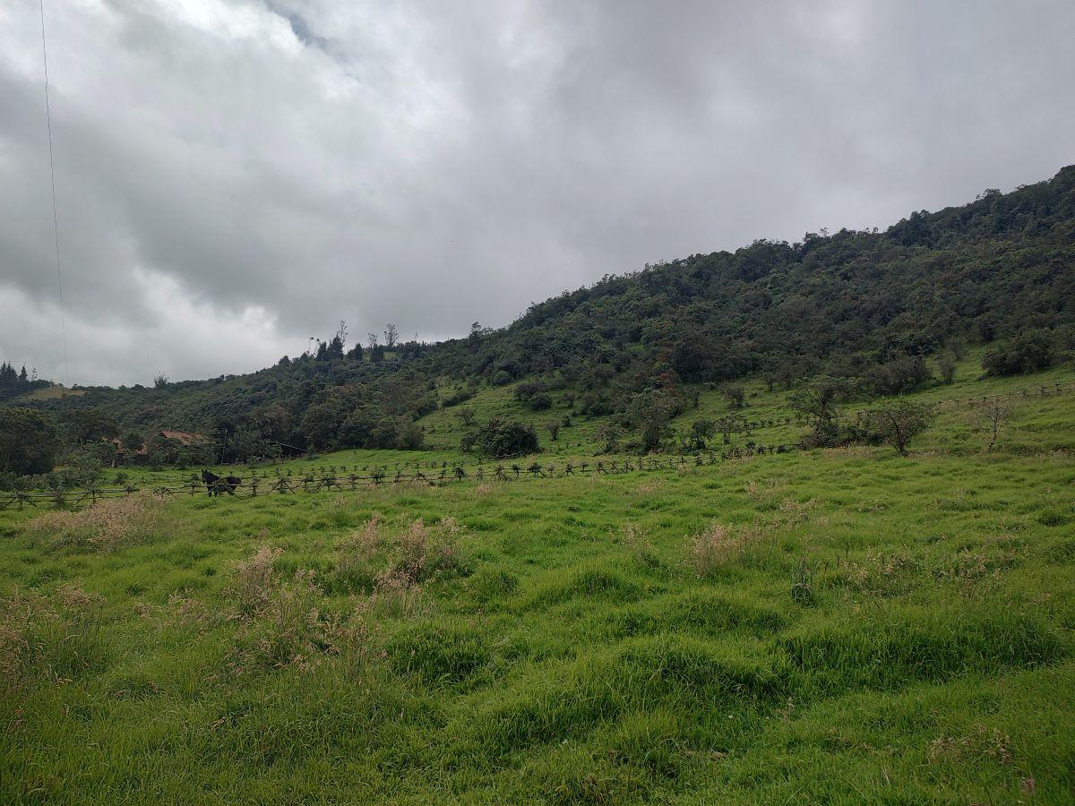 Invierte en Paz y Naturaleza! Terrenos Dentro de Santuario Natural. en Venta! — imagen 5