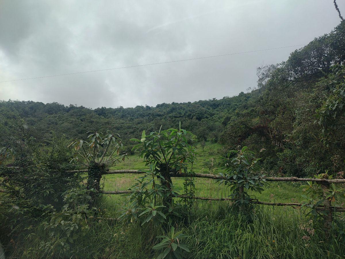 Invierte en Paz y Naturaleza! Terrenos Dentro de Santuario Natural. en Venta! — imagen 3
