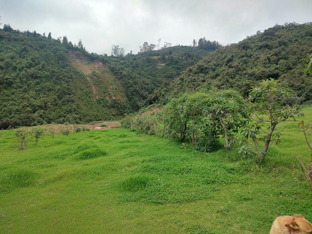 Invierte en Paz y Naturaleza! Terrenos Dentro de Santuario Natural. en Venta! — imagen 2