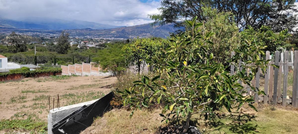 Venta Terreno Nayon 1.474 m² — imagen 7