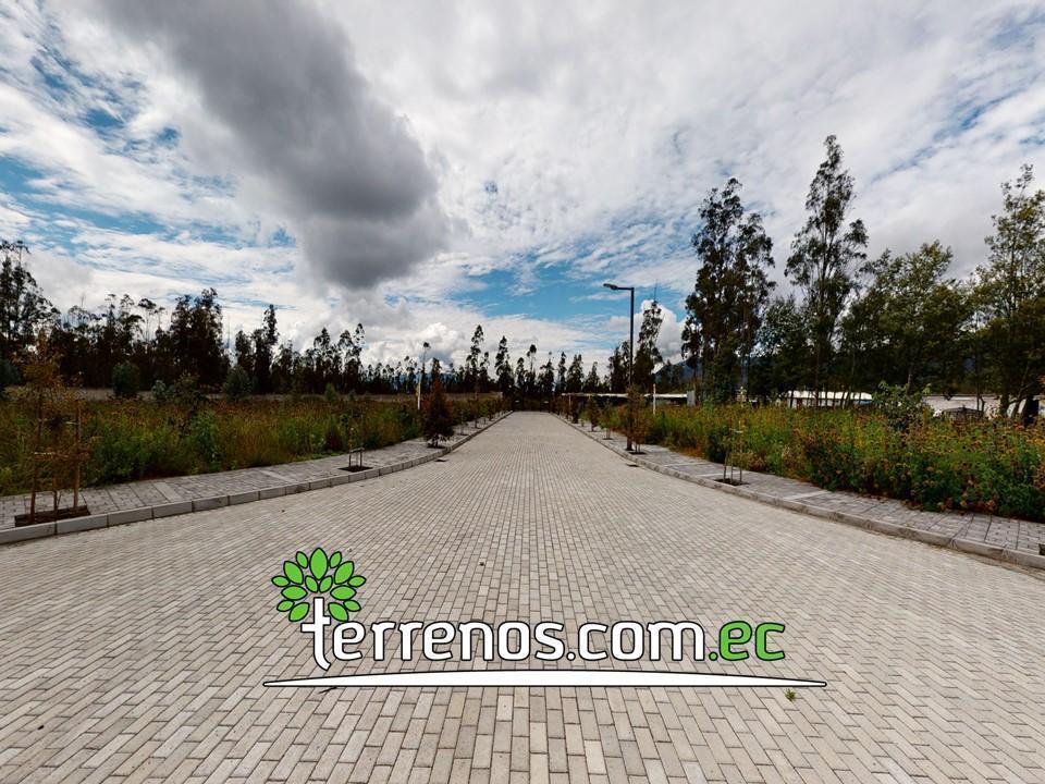 Terreno en Venta 1.042 m² Urb. El Arupo I, Llano Chico, a 5 Min Av Simón Bolívar — imagen 5