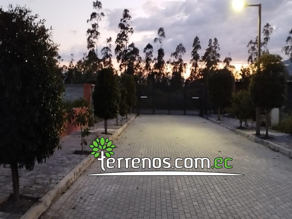 Terreno en Venta 1.042 m² Urb. El Arupo I, Llano Chico, a 5 Min Av Simón Bolívar — imagen 4