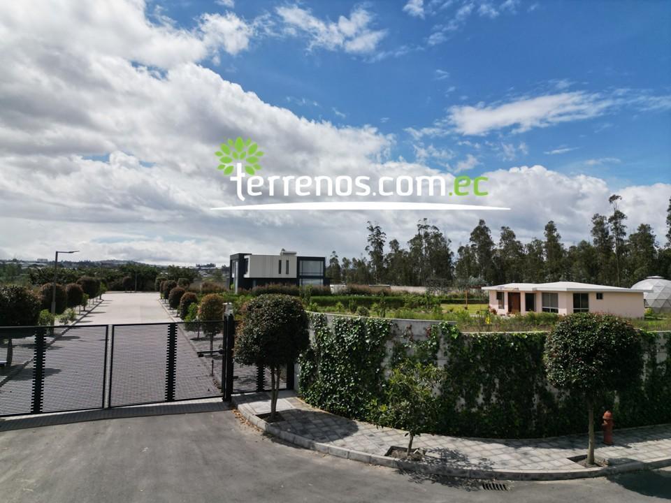 Terreno en Venta 1.042 m² Urb. El Arupo I, Llano Chico, a 5 Min Av Simón Bolívar — imagen 3