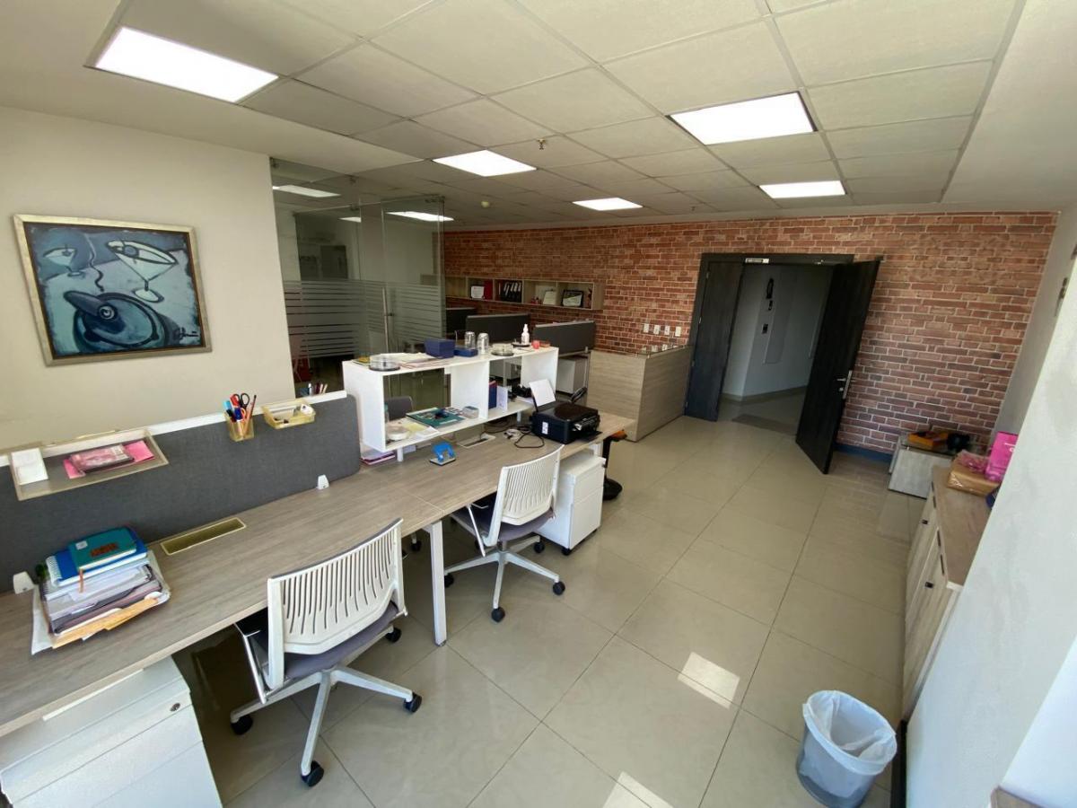 Oficina en La Carolina — imagen 6