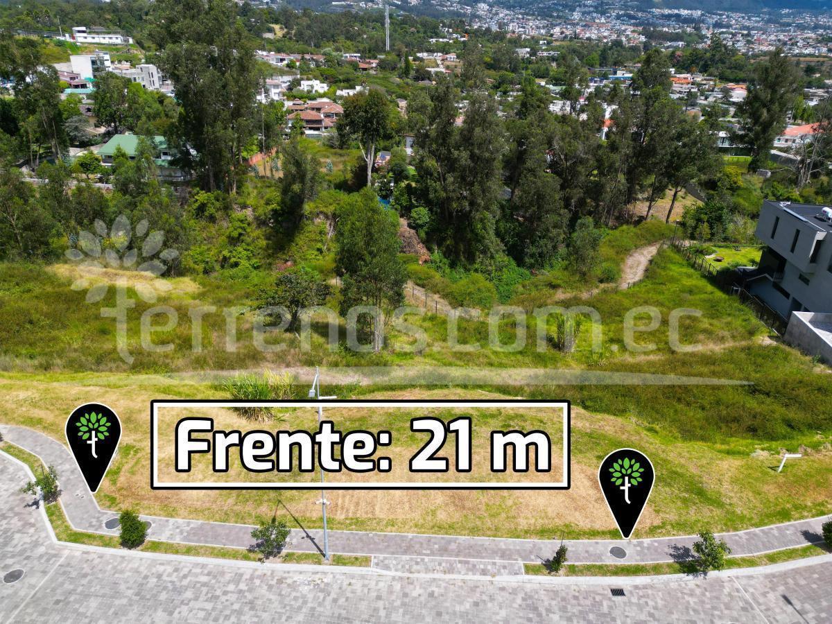 Terrenos de Venta en Tumbaco 1.242 m² Urbanización Rikuna Gardens, Ruta Viva. Provincia de Pichincha — imagen 5
