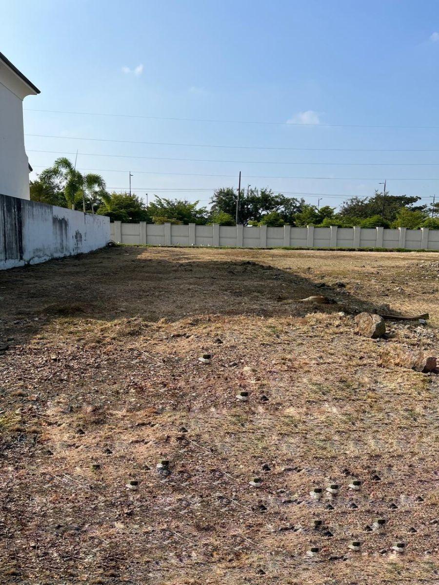 Terreno en Venta Aires de Batan, Guayas — imagen 8