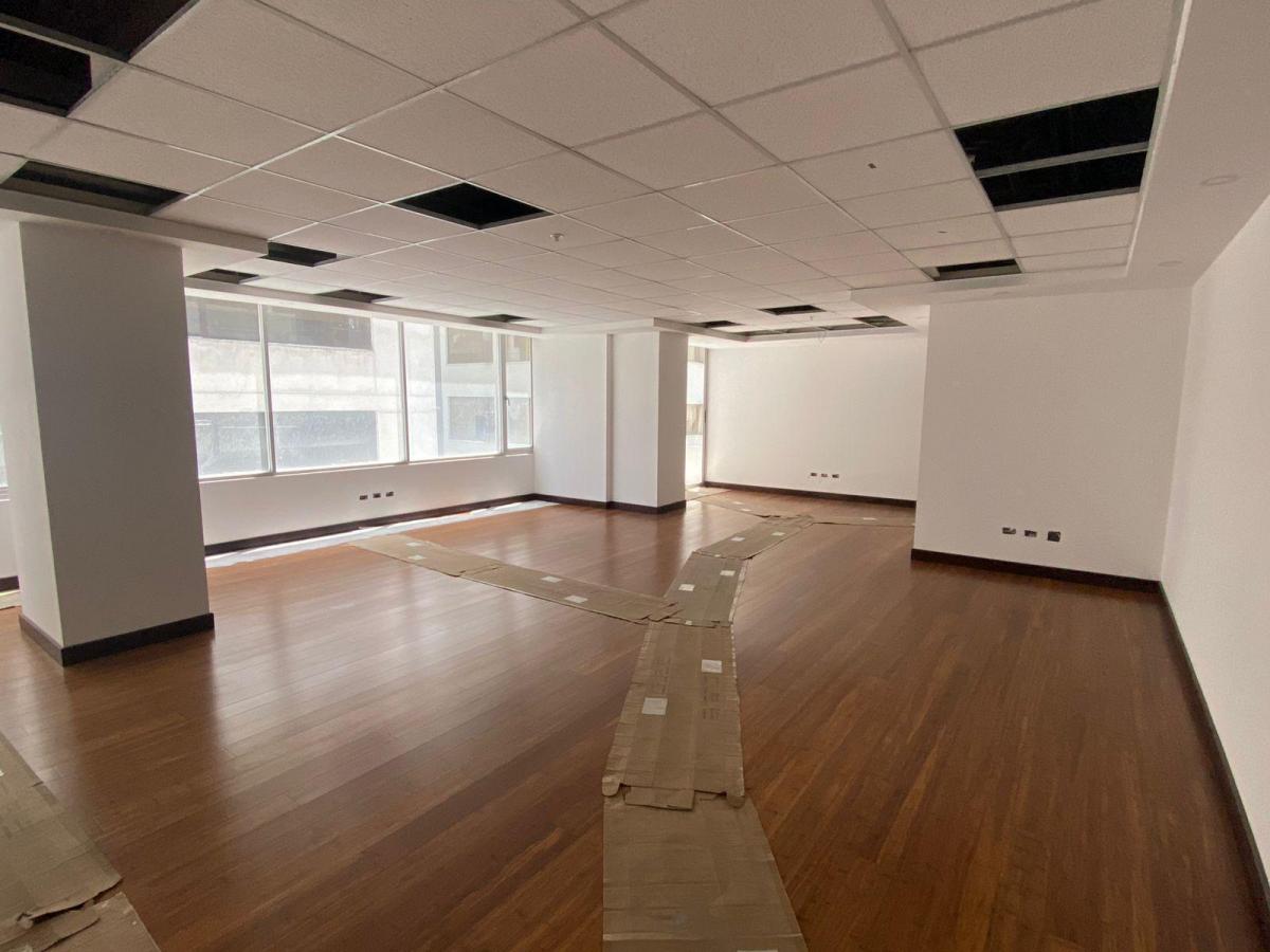 Venta Edificio de Oficinas y Penthouse, 8.804 m², a Estrenar, La Carolina — imagen 9