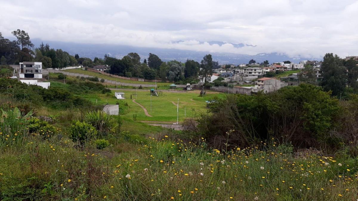 Los Chillos Terreno en Venta en Urbanización Sector La Espe — imagen 4