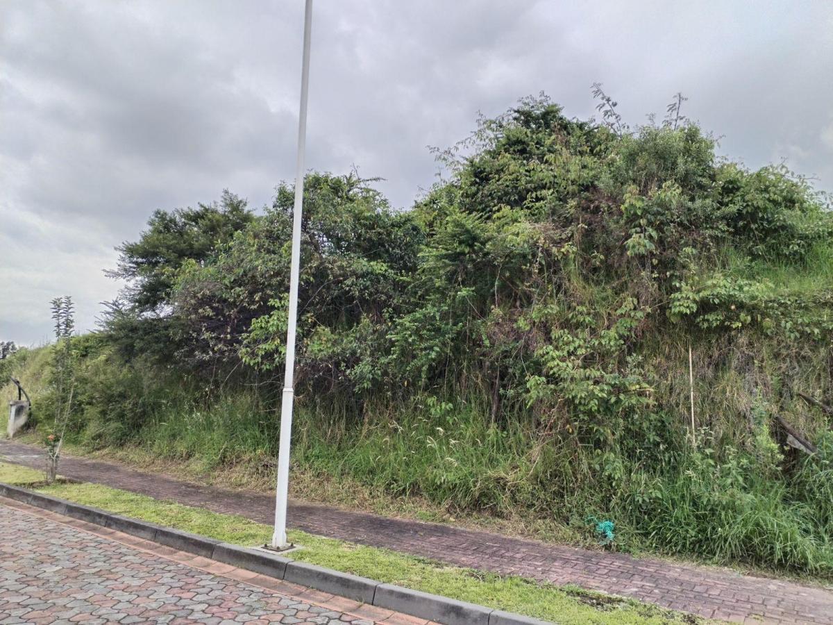 Los Chillos Terreno en Venta en Urbanización Sector La Espe — imagen 2