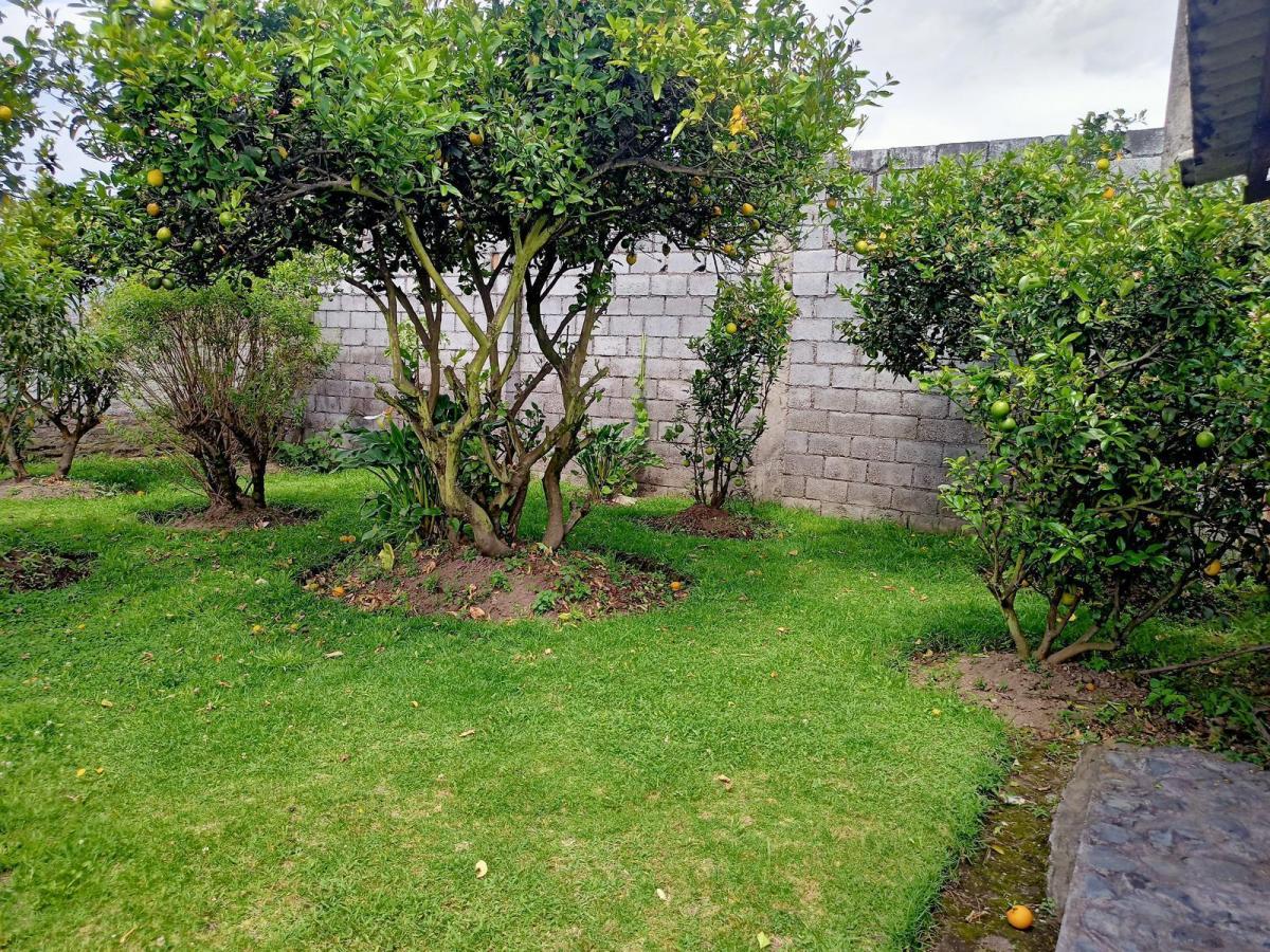Conocoto Terreno en Venta Cerca de La Av Ilalo. Cos en Pb 50%, 3 Pisos — imagen 6