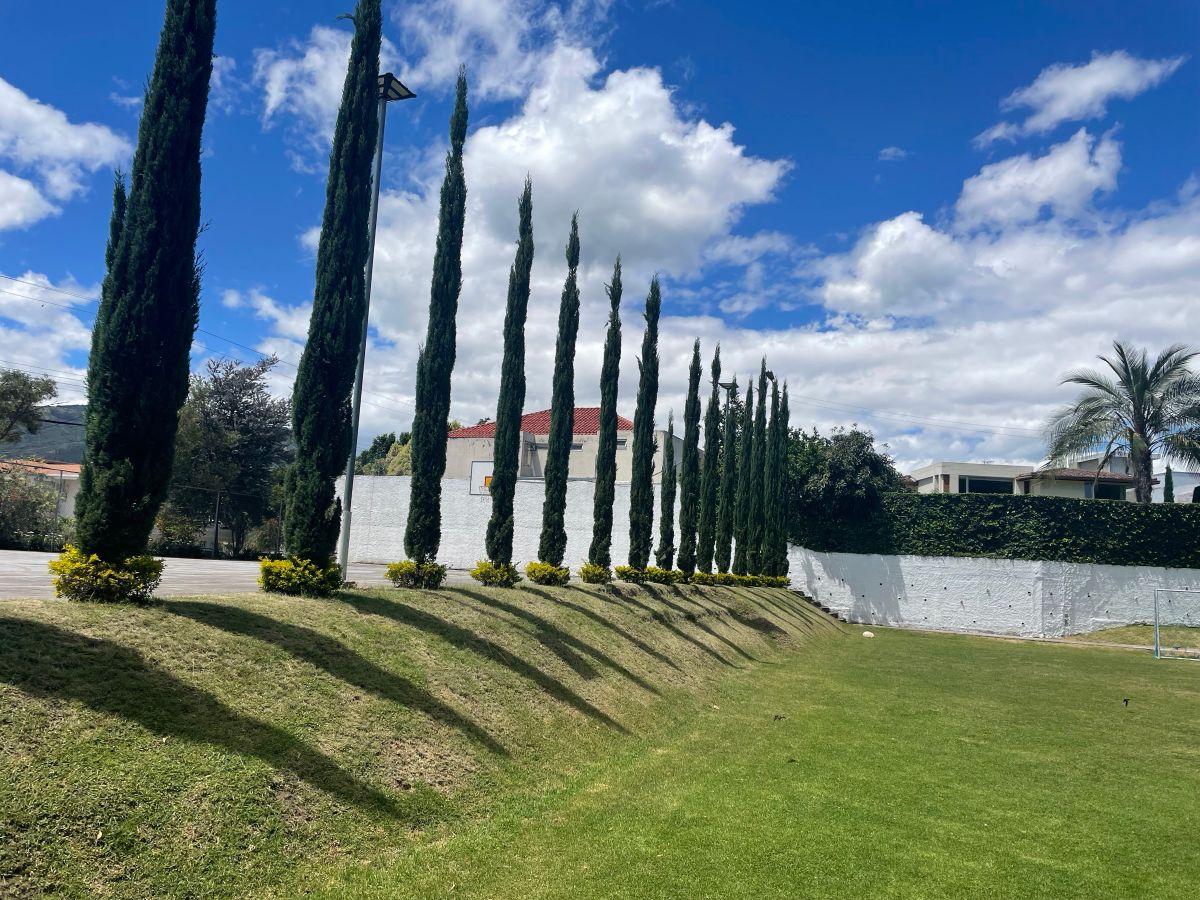 Casa en Venta en Cumbaya en Urbanización, Sector Colegio Aleman — imagen 5