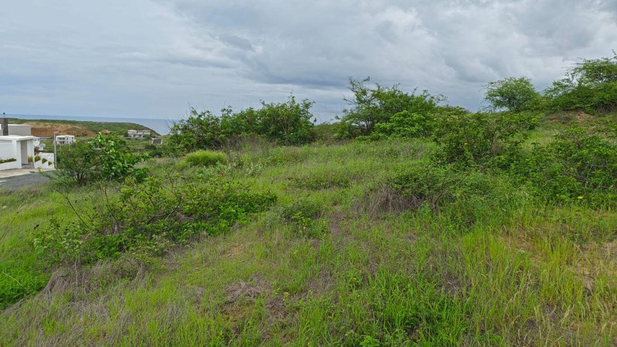 Terreno de Venta en Manta Zona Sur de Manta, Manabí — imagen 5