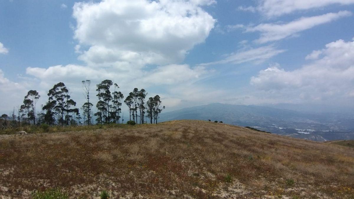 Terreno en Cochasquí – Pichincha — imagen 10