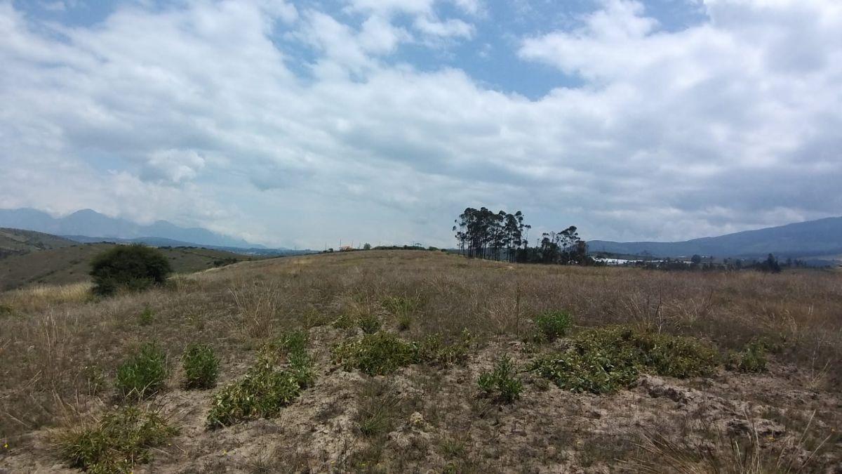 Terreno en Cochasquí – Pichincha — imagen 9