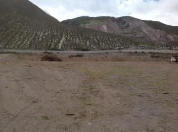 Renta Terreno de 20.835 m² con Cerramiento y Oficina en La Mitad del Mundo - Quito — imagen 4