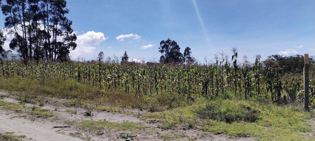 Terreno Esquinero de Venta en Malchingui — imagen 10