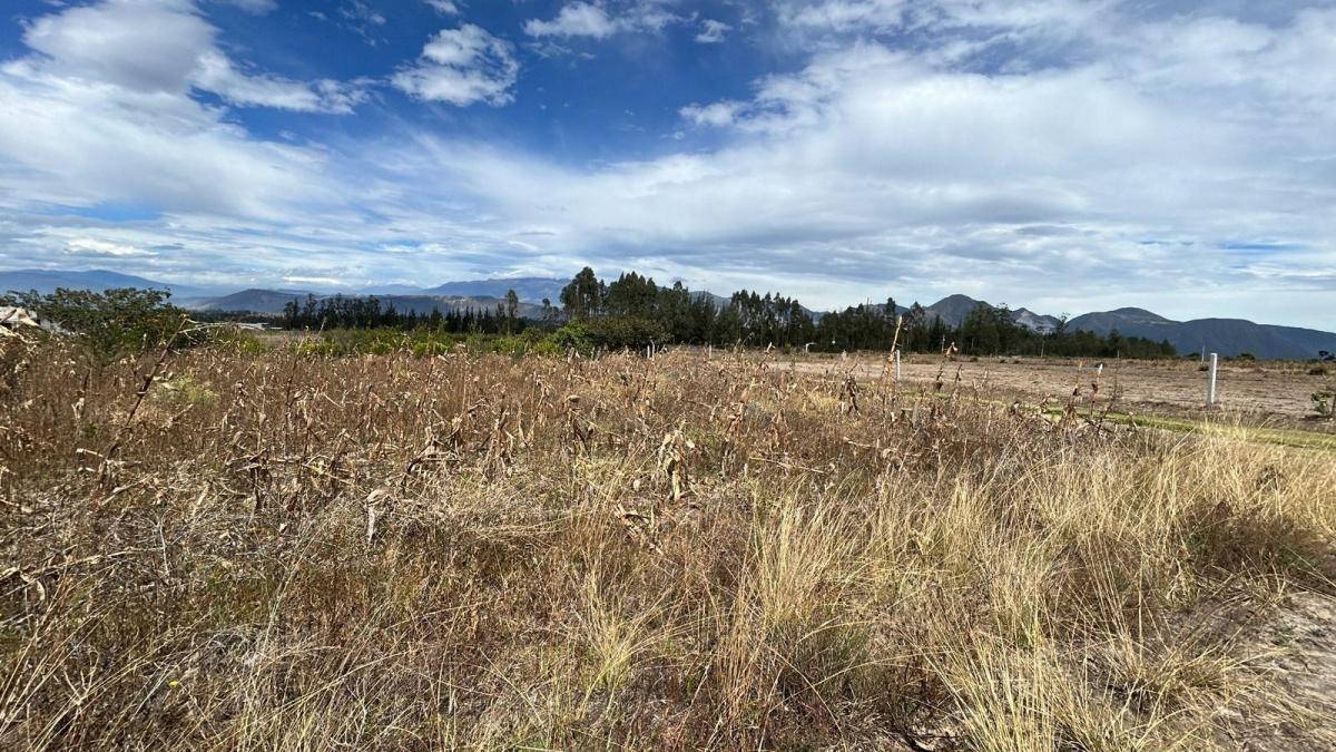 Terreno Esquinero de Venta en Malchingui — imagen 9