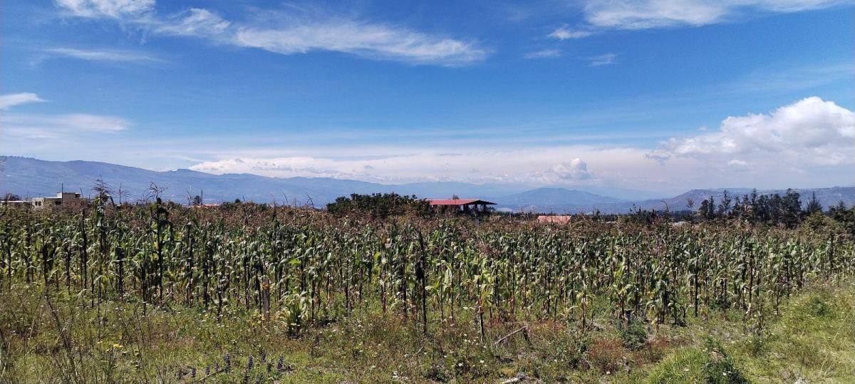 Terreno Esquinero de Venta en Malchingui — imagen 8
