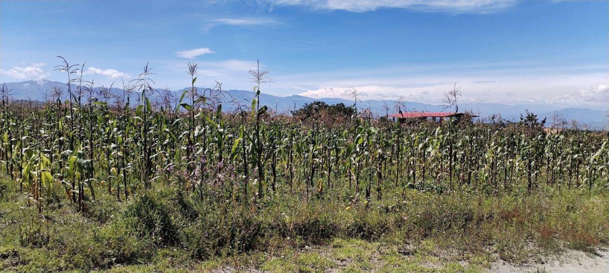 Terreno Esquinero de Venta en Malchingui — imagen 7