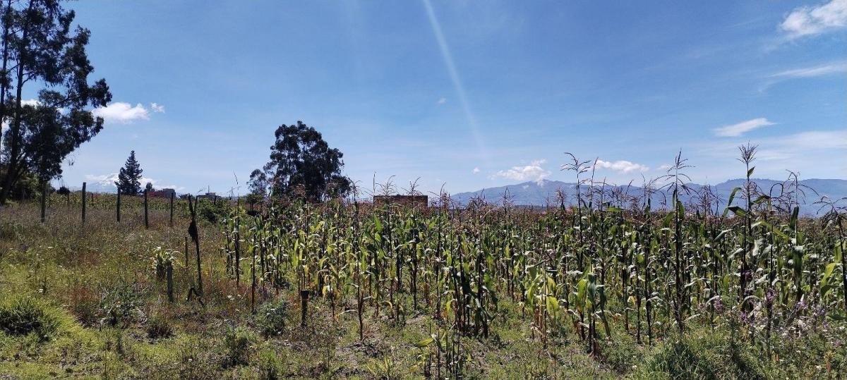 Terreno Esquinero de Venta en Malchingui — imagen 6