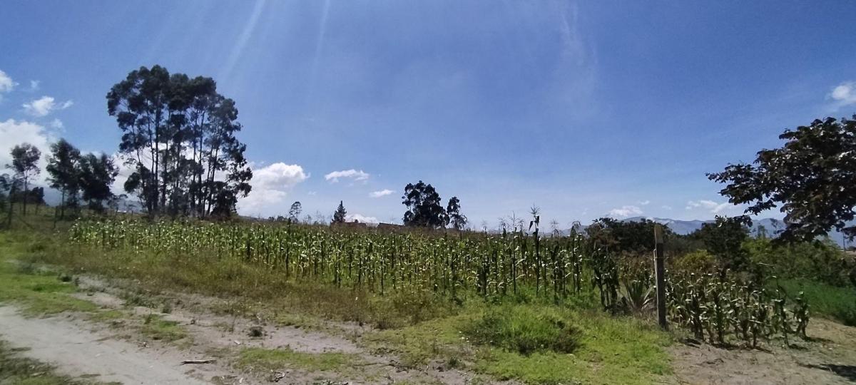 Terreno Esquinero de Venta en Malchingui — imagen 5