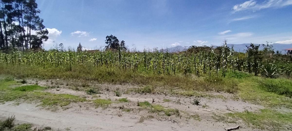 Terreno Esquinero de Venta en Malchingui — imagen 4