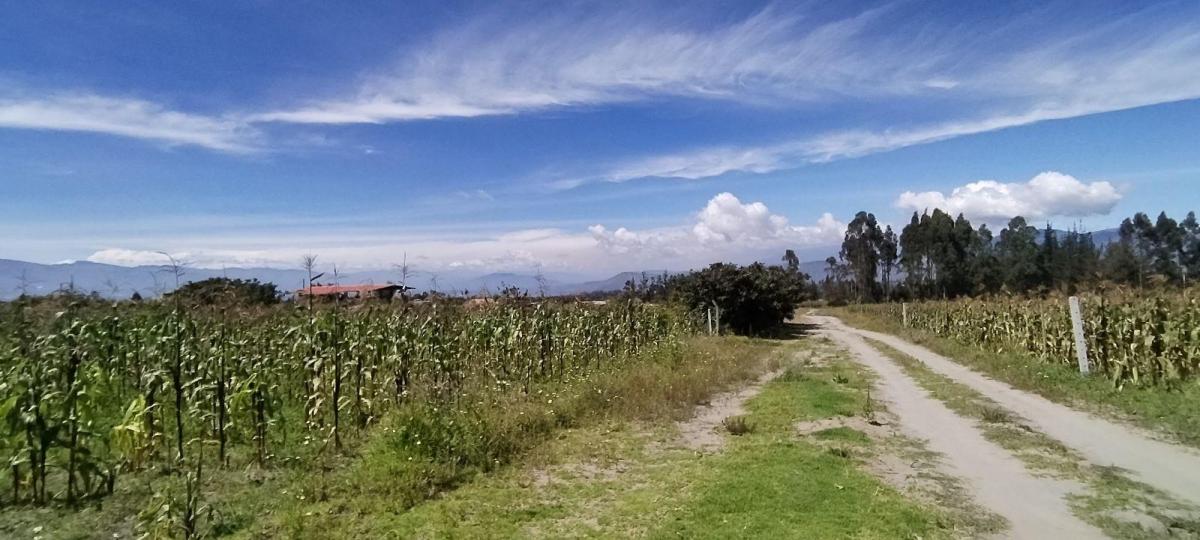 Terreno Esquinero de Venta en Malchingui — imagen 2