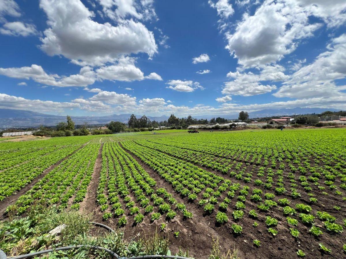 Vendo Hermoso Terreno Yaruki 33.000 m 3 Has — imagen 7