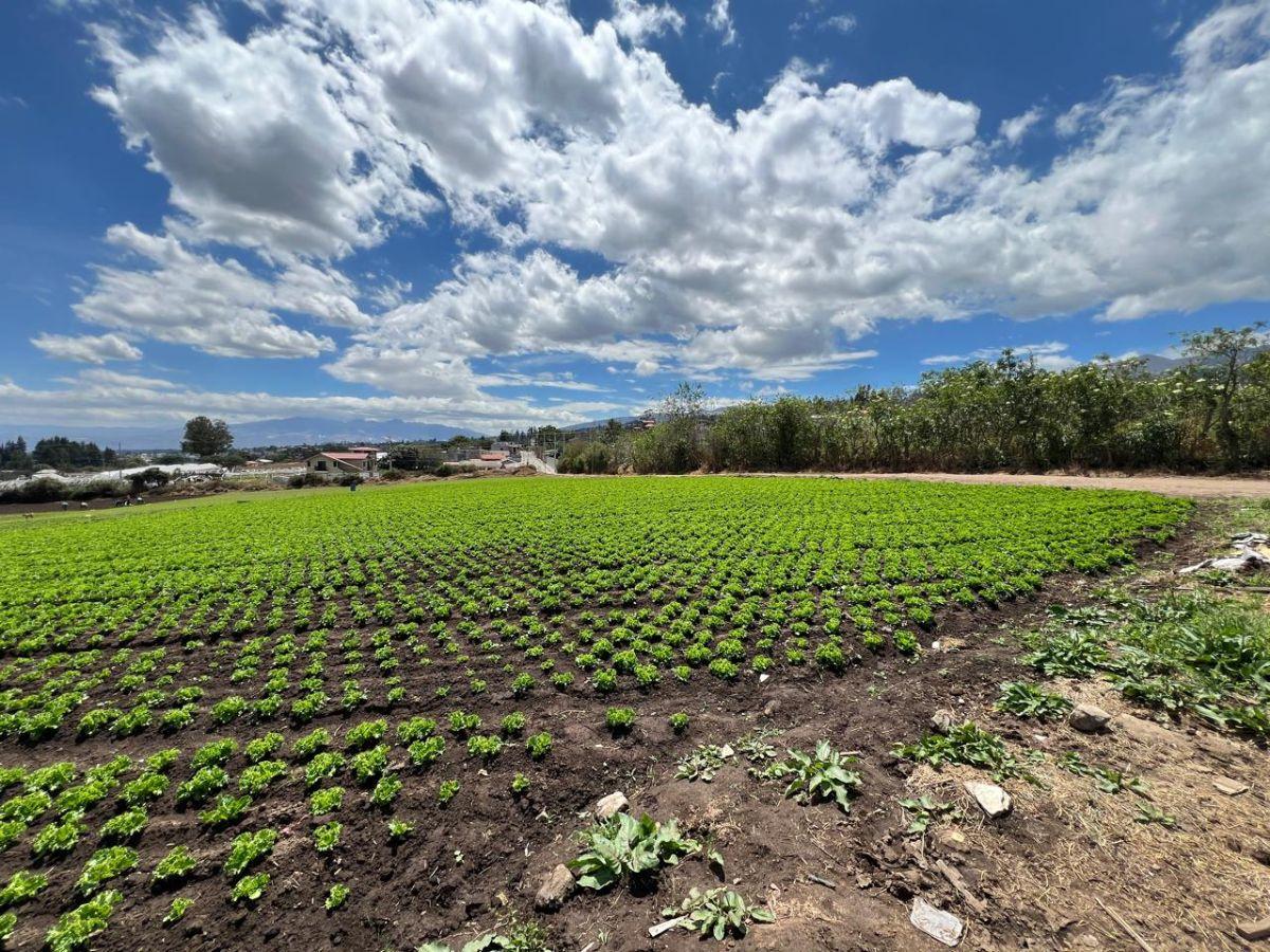 Vendo Hermoso Terreno Yaruki 33.000 m 3 Has — imagen 6