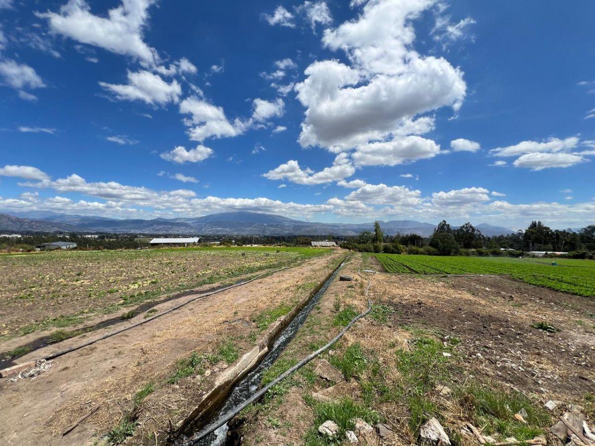 Vendo Hermoso Terreno Yaruki 33.000 m 3 Has — imagen 4