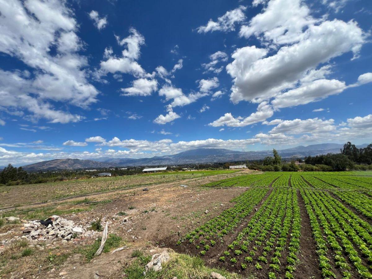 Vendo Hermoso Terreno Yaruki 33.000 m 3 Has — imagen 2