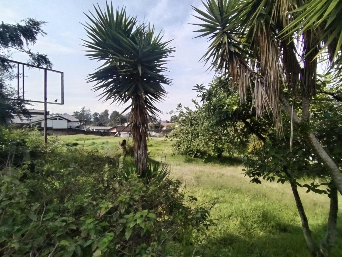 Terreno en Venta, Sector San Gabriel, Valle de Los Chillos — imagen 4