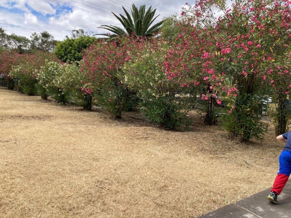 Terreno en Venta, Sector San Gabriel, Valle de Los Chillos — imagen 2