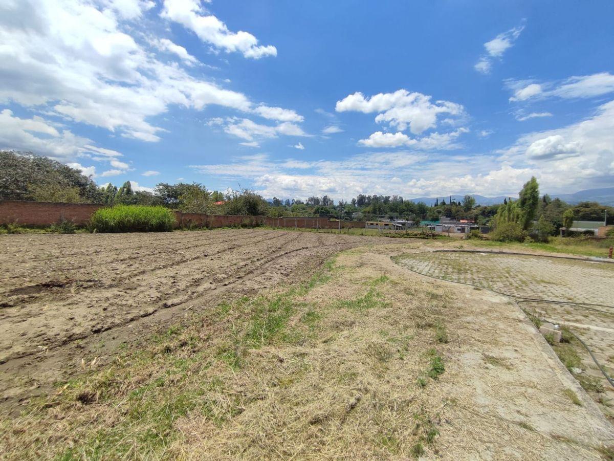 Terreno en Venta Plano 743 m² Tumbaco — imagen 8