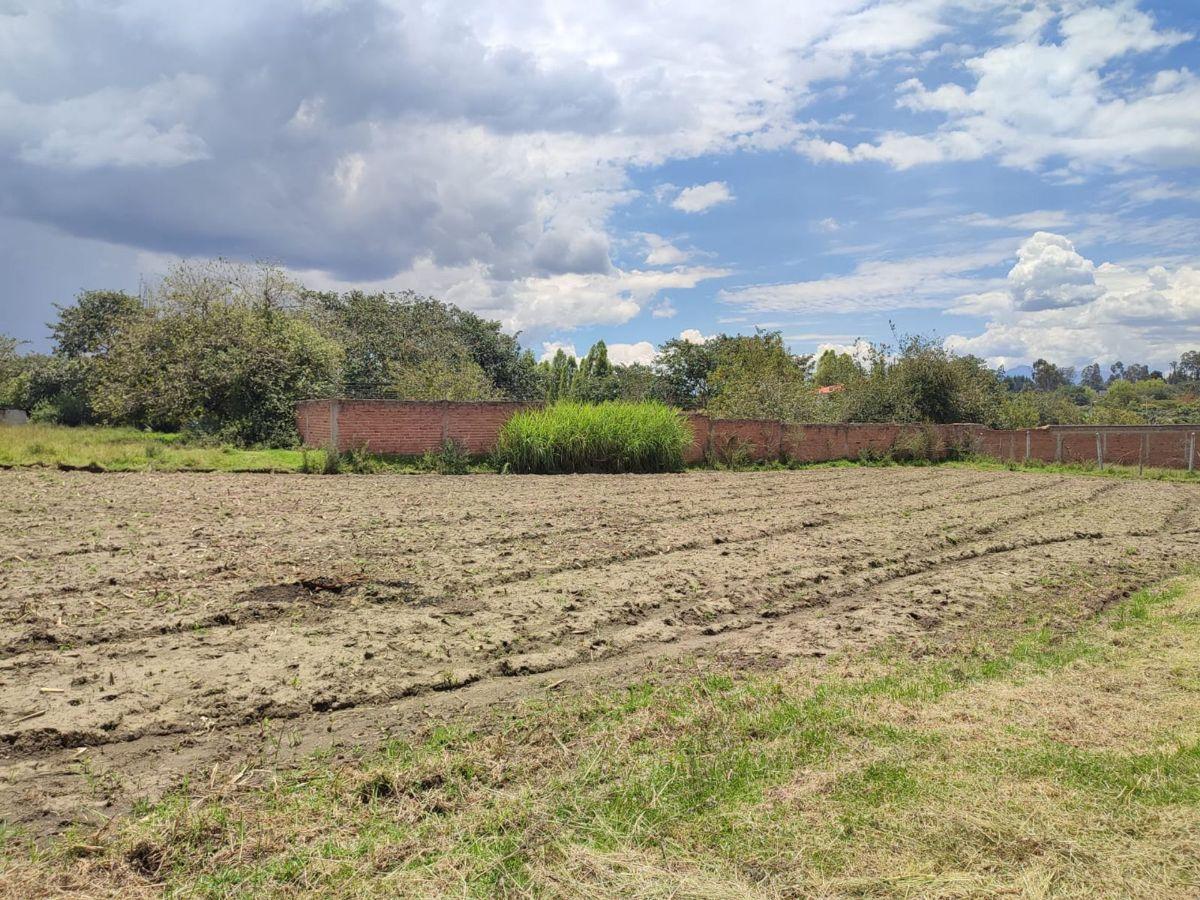 Terreno en Venta Plano 743 m² Tumbaco — imagen 7