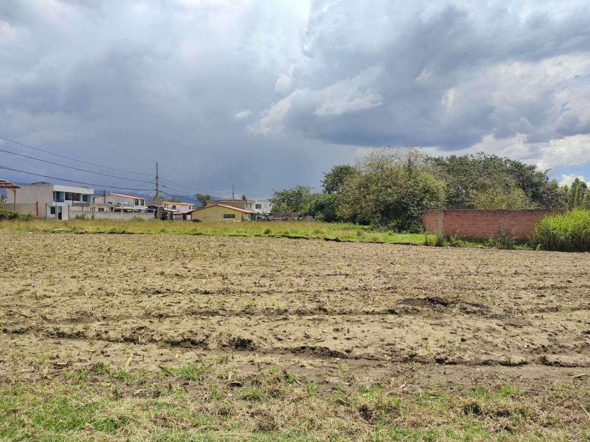 Terreno en Venta Plano 743 m² Tumbaco — imagen 6