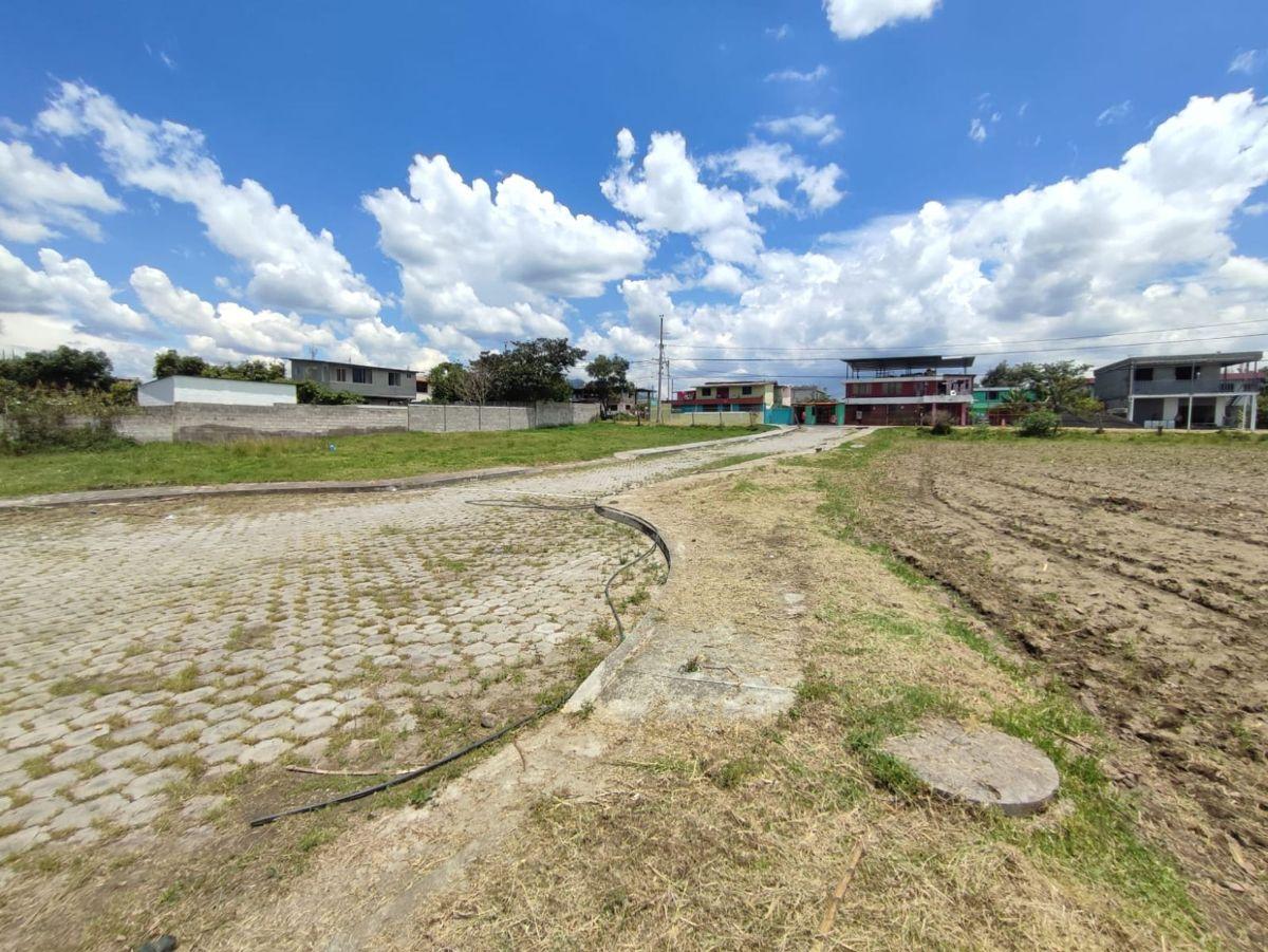 Terreno en Venta Plano 743 m² Tumbaco — imagen 5