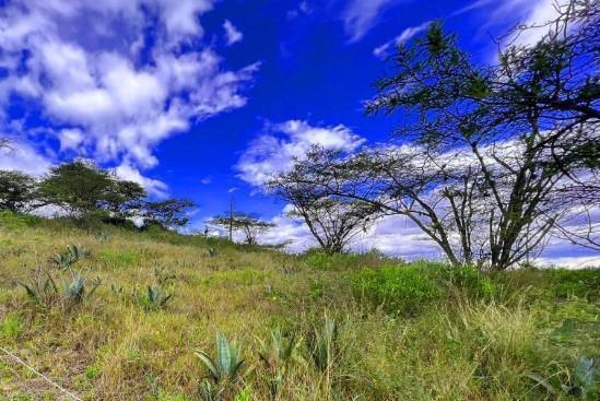Terrenos de Venta en Urbanización Shalom, Puembo — imagen 4