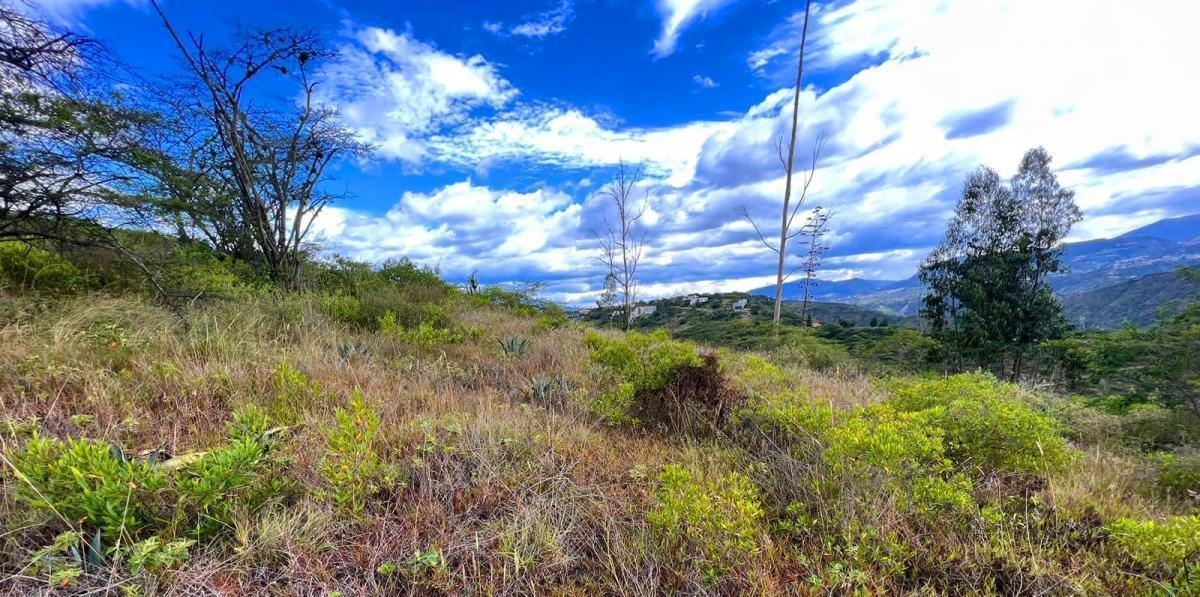 Terrenos de Venta en Urbanización Shalom, Puembo — imagen 3