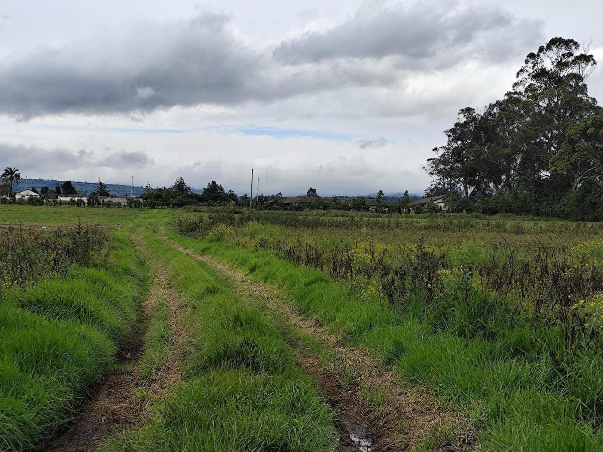 Terreno Esquinero 3.6 Hectáreas en Venta en Machachi Sobre La Panamericana — imagen 8