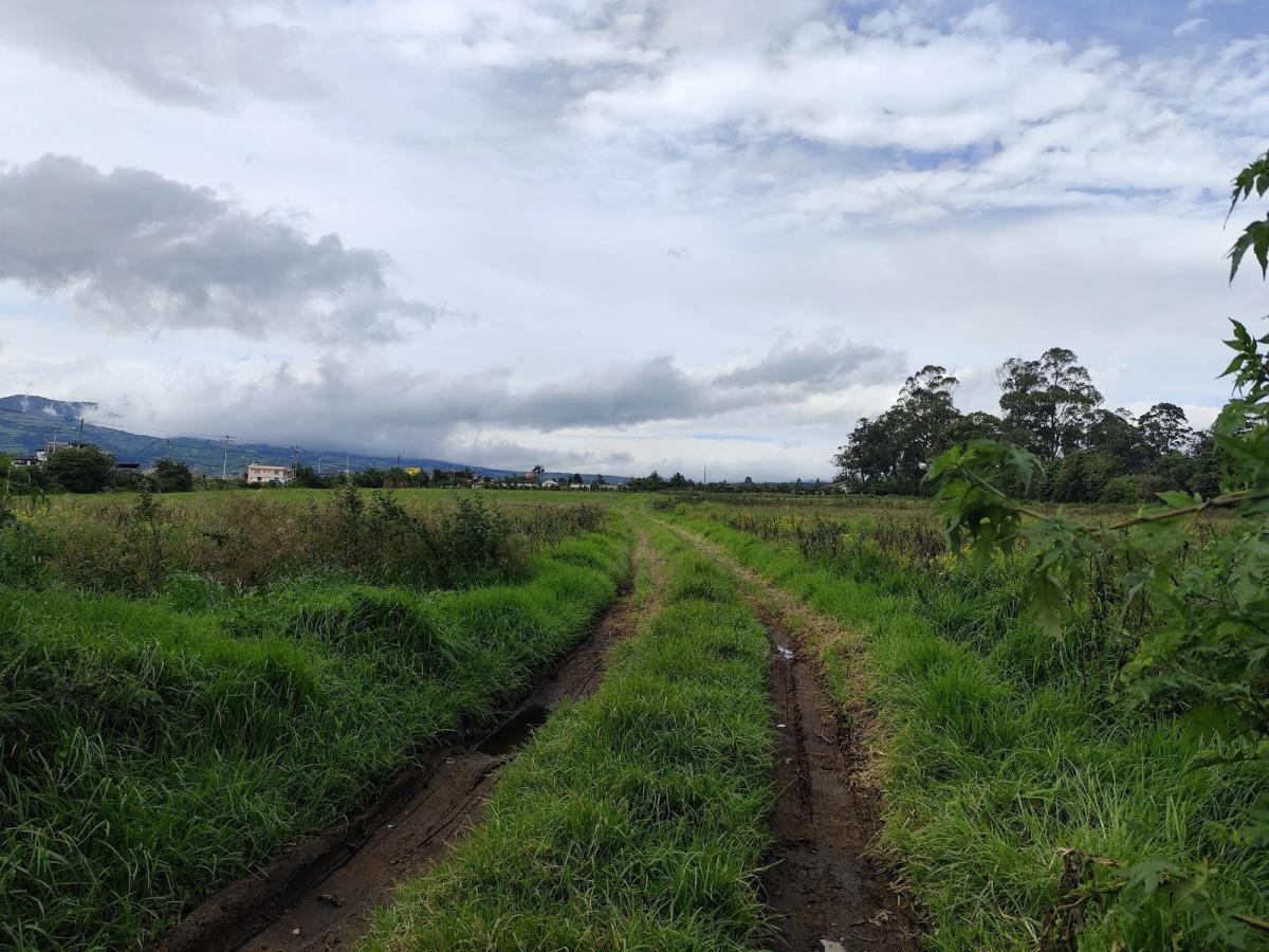 Terreno Esquinero 3.6 Hectáreas en Venta en Machachi Sobre La Panamericana — imagen 6