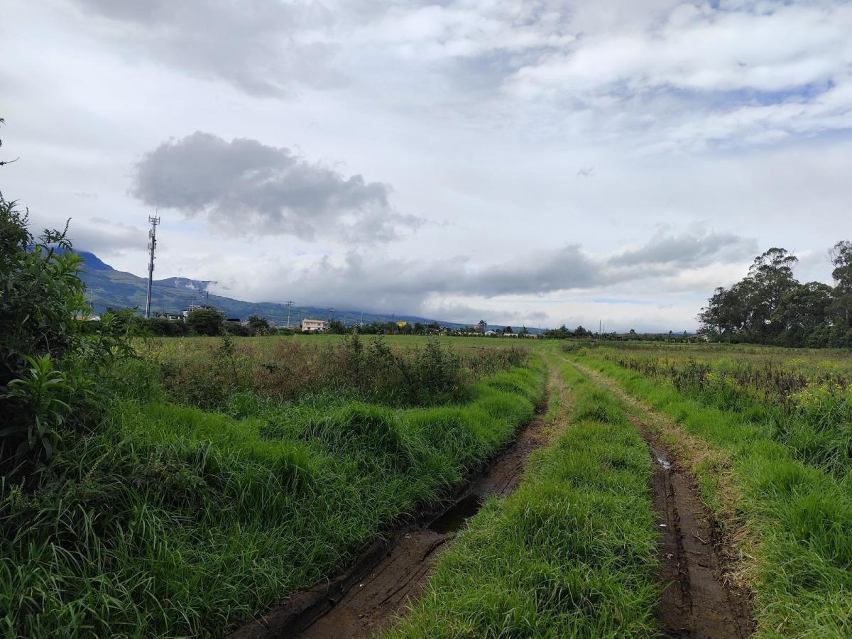 Terreno Esquinero 3.6 Hectáreas en Venta en Machachi Sobre La Panamericana — imagen 5