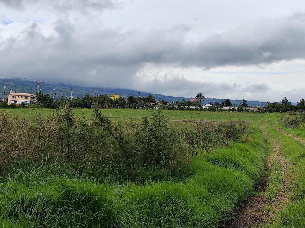 Terreno Esquinero 3.6 Hectáreas en Venta en Machachi Sobre La Panamericana — imagen 4