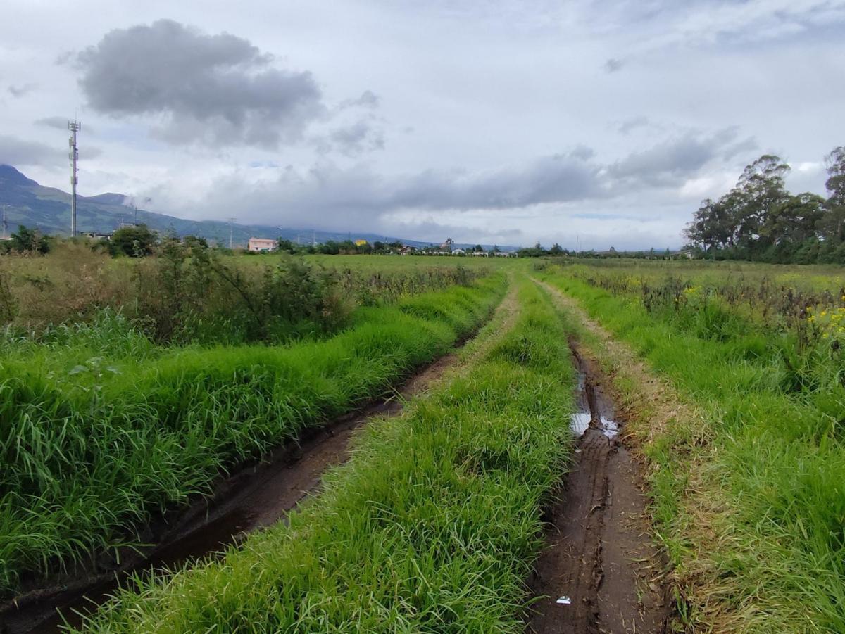 Terreno Esquinero 3.6 Hectáreas en Venta en Machachi Sobre La Panamericana — imagen 2