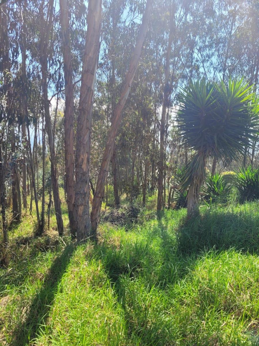 Terreno de Venta en Nayón — imagen 8